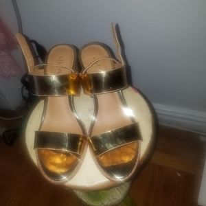 Brand New Gold Heels